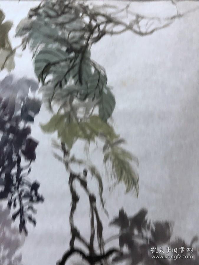 18519~【梁顺如】无款花鸟画，尺寸约为54*50