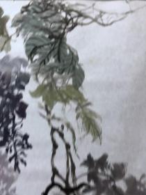 18519~【梁顺如】无款花鸟画，尺寸约为54*50