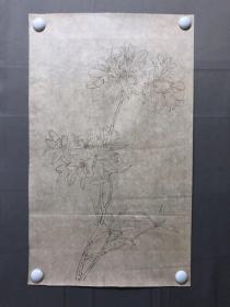 18033~【周爱莲】无款工笔白描花鸟画，尺寸约为66*39厘米