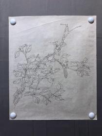 18062~【周爱莲】无款工笔白描花鸟画，尺寸约为33*25厘米