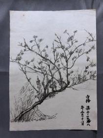 18670~【梁顺如】无款花鸟画，写生，尺寸约为28*20