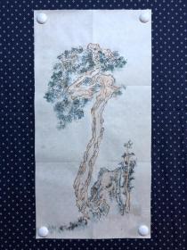 20955，沈继昌★无款花鸟画，柏树，尺寸约67×34厘米