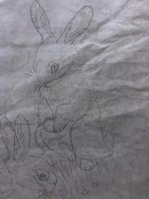 17972~【周爱莲】无款工笔白描花鸟画，兔子石榴，尺寸约为89*34厘米