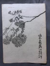 18639~【梁顺如】无款花鸟画，写生，尺寸约为28*20