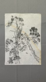 22779，继山花鸟画，树木习作，尺寸约24×17厘米