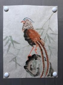 17891~【周爱莲】无款花鸟画，锦鸡，尺寸约为45*34厘米