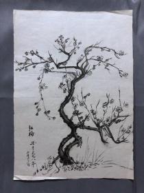 18658~【梁顺如】无款花鸟画，写生，尺寸约为28*20