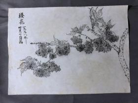 18689~【梁顺如】无款花鸟画，写生，尺寸约为28*20
