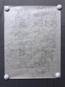 18057~【周爱莲】无款工笔白描花鸟画，花，尺寸约为42*33厘米