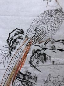 18156~【周爱莲】无款工笔白描花鸟画，锦鸡，尺寸约为100*55厘米
