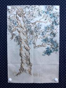 20954，沈继昌★无款花鸟画，柏树，尺寸约68×45厘米