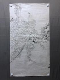 17976~【周爱莲】无款工笔白描花鸟画，孔雀，尺寸约为99*54厘米