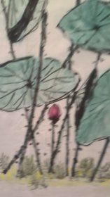22577，赖德隆★花鸟画，荷花，尺寸69×46厘米