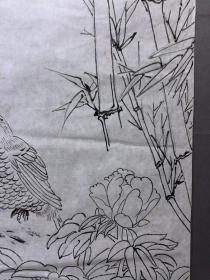 18156~【周爱莲】无款工笔白描花鸟画，锦鸡，尺寸约为100*55厘米