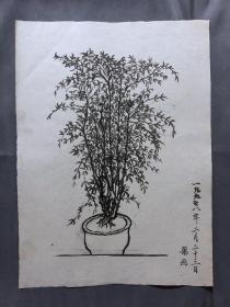 18681~【梁顺如】无款花鸟画，写生，尺寸约为28*20