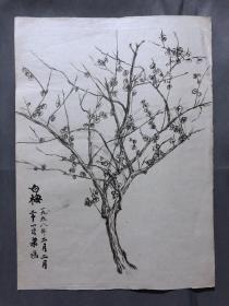 18657~【梁顺如】无款花鸟画，写生，尺寸约为28*20
