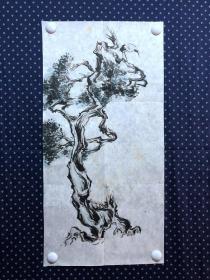 20937，沈继昌★无款花鸟画，柏树，尺寸约69×34厘米