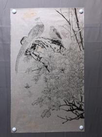 18153~【周爱莲】无款工笔白描花鸟画，锦鸡，尺寸约为92*55厘米