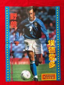 足球俱乐部，1995年第24期，海报，4开（资料393）
