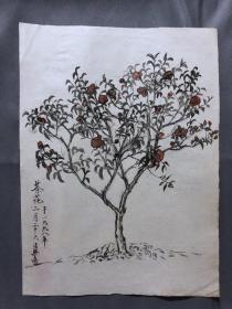 18708~【梁顺如】无款花鸟画，写生，尺寸约为28*20