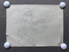 18187~【娄？梧】白描花鸟画，猫，【周爱莲】藏，尺寸约为27*19厘米