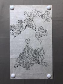 18082~【周爱莲】无款工笔白描花鸟画，尺寸约为52*30厘米