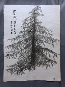 18642~【梁顺如】无款花鸟画，写生，尺寸约为28*20