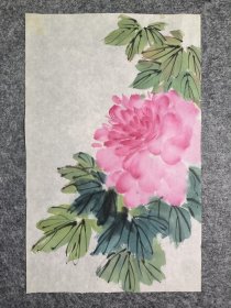 花鸟画，无款，小品，尺寸36×22厘米