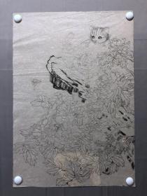 18150~【周爱莲】无款工笔白描花鸟画，猫趣图，尺寸约为66*46厘米