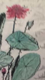 22577，赖德隆★花鸟画，荷花，尺寸69×46厘米