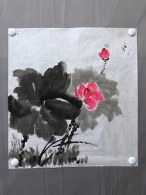 19560~【邓华铭】无款花鸟画，荷花，尺寸约为53*49