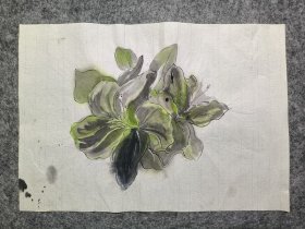 花鸟画，无款，小品，尺寸36×25厘米