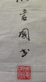 22110，陈爱国★书法，尺寸113×33厘米