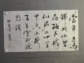 23883彭书林，书法，陆游梅花绝句，尺寸99×55厘米