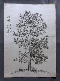 18671~【梁顺如】无款花鸟画，写生，尺寸约为28*20
