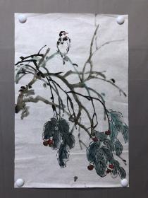 19568~【邓华铭】无款花鸟画，荔枝小鸟，尺寸约为67*44