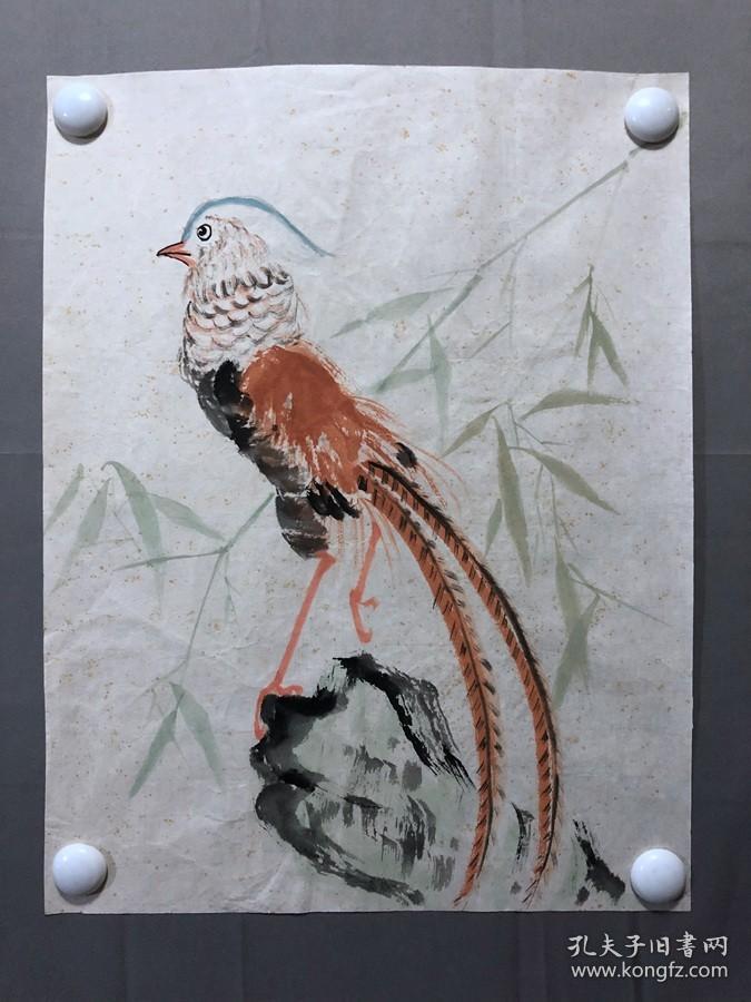 17892~【周爱莲】无款花鸟画，锦鸡，尺寸约为45*34厘米