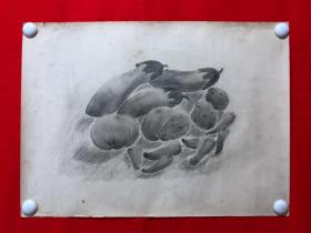 书画14921，素描画，静物，尺寸约为54*39厘米