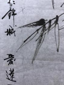 18154~【周爱莲】工笔白描花鸟画，锦鸡，尺寸约为100*55厘米