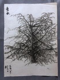 18684~【梁顺如】无款花鸟画，写生，尺寸约为28*20