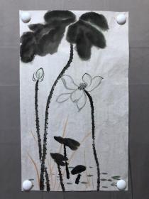 17954~【周爱莲】无款花鸟画，荷花，尺寸约为55*33厘米