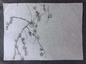 18700~【梁顺如】无款花鸟画，写生，尺寸约为28*20