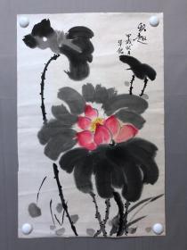 19575~【邓华铭】花鸟画，尺寸约为67*44