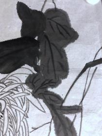 17728~【周爱莲】无款花鸟画，菊花，尺寸约为68*34厘米