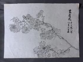 18702~【梁顺如】无款花鸟画，写生，尺寸约为28*20