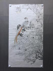 18156~【周爱莲】无款工笔白描花鸟画，锦鸡，尺寸约为100*55厘米