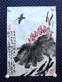 20951，沈继昌★花鸟画，荷花翠鸟，尺寸约52×36厘米