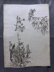 18673~【梁顺如】无款花鸟画，写生，双面，尺寸约为28*20