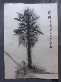 18665~【梁顺如】无款花鸟画，写生，尺寸约为28*20
