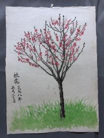 18659~【梁顺如】无款花鸟画，写生，尺寸约为28*20